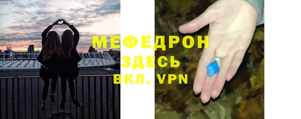 хмурый Аркадак