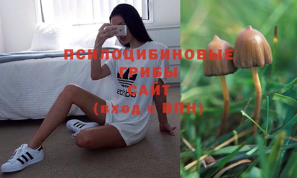 a pvp Арсеньев