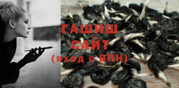 хмурый Аркадак