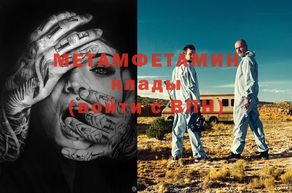 хмурый Аркадак