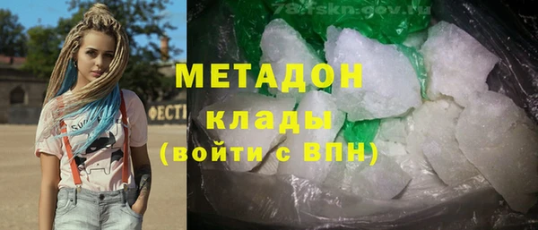 хмурый Аркадак